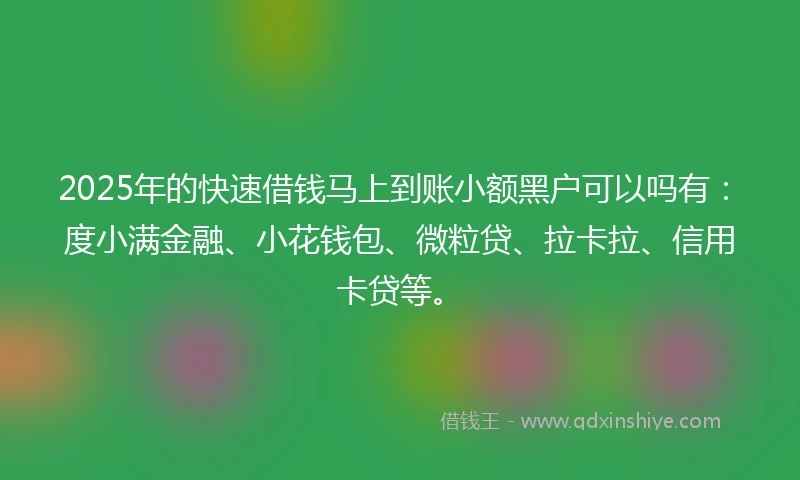 2025年的快速借钱马上到账小额黑户可以吗有：度小满金融、小花钱包、微粒贷、拉卡拉、信用卡贷等。