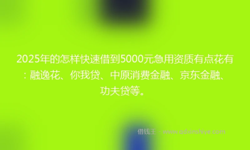 2025年的怎样快速借到5000元急用资质有点花有：融逸花、你我贷、中原消费金融、京东金融、功夫贷等。
