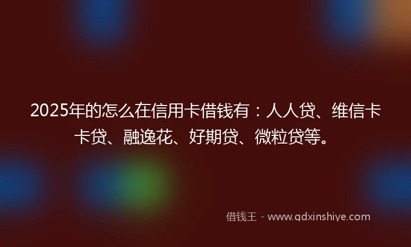2025年的怎么在信用卡借钱有：人人贷、维信卡卡贷、融逸花、好期贷、微粒贷等。
