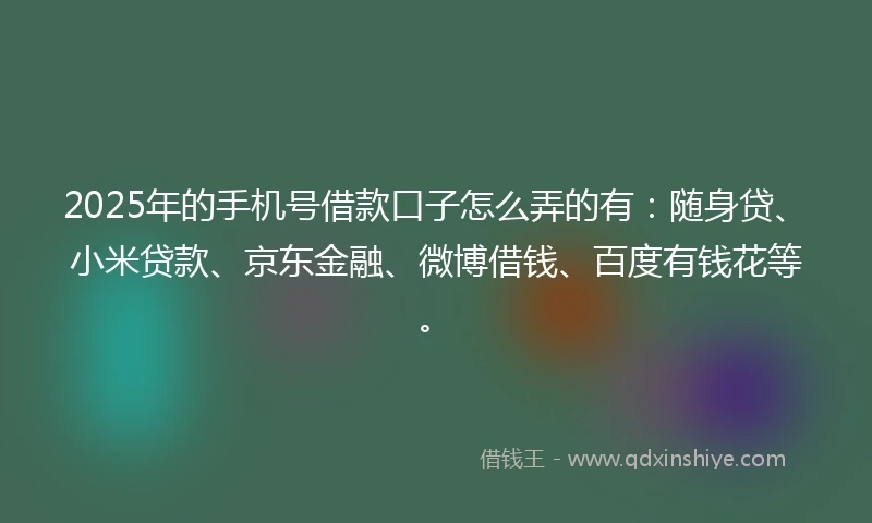 2025年的手机号借款口子怎么弄的有：随身贷、小米贷款、京东金融、微博借钱、百度有钱花等。