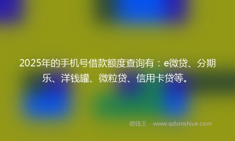 2025年的手机号借款额度查询有：e微贷、分期乐、洋钱罐、微粒贷、信用卡贷等。