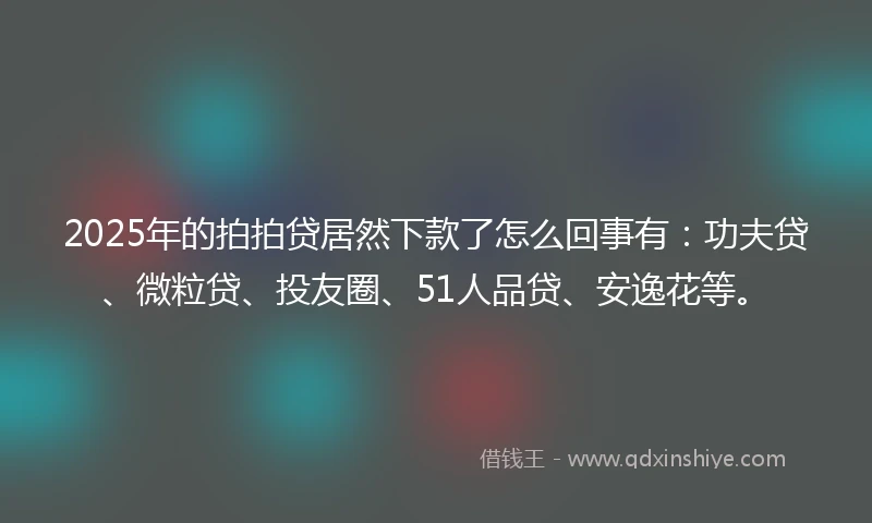2025年的拍拍贷居然下款了怎么回事有：功夫贷、微粒贷、投友圈、51人品贷、安逸花等。