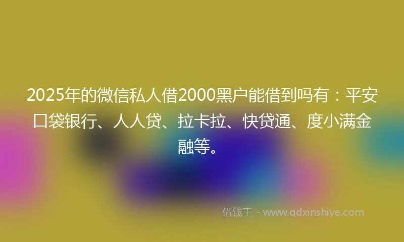 2025年的微信私人借2000黑户能借到吗有：平安口袋银行、人人贷、拉卡拉、快贷通、度小满金融等。