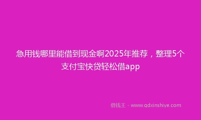 急用钱哪里能借到现金啊2025年推荐，整理5个支付宝快贷轻松借app