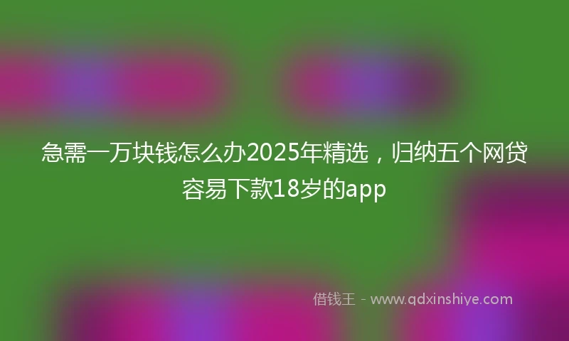 急需一万块钱怎么办2025年精选，归纳五个网贷容易下款18岁的app