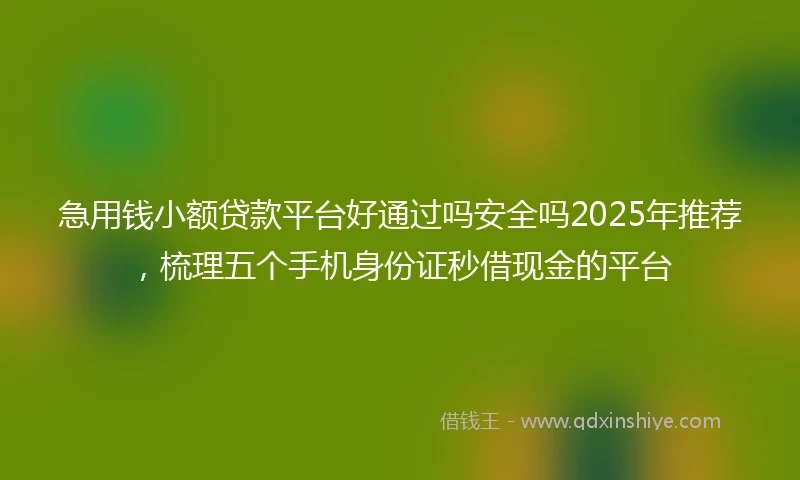 急用钱小额贷款平台好通过吗安全吗2025年推荐，梳理五个手机身份证秒借现金的平台