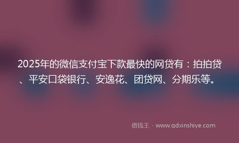 2025年的微信支付宝下款最快的网贷有：拍拍贷、平安口袋银行、安逸花、团贷网、分期乐等。