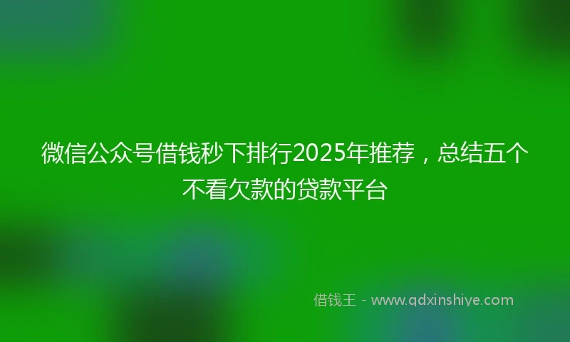 微信公众号借钱秒下排行2025年推荐，总结五个不看欠款的贷款平台
