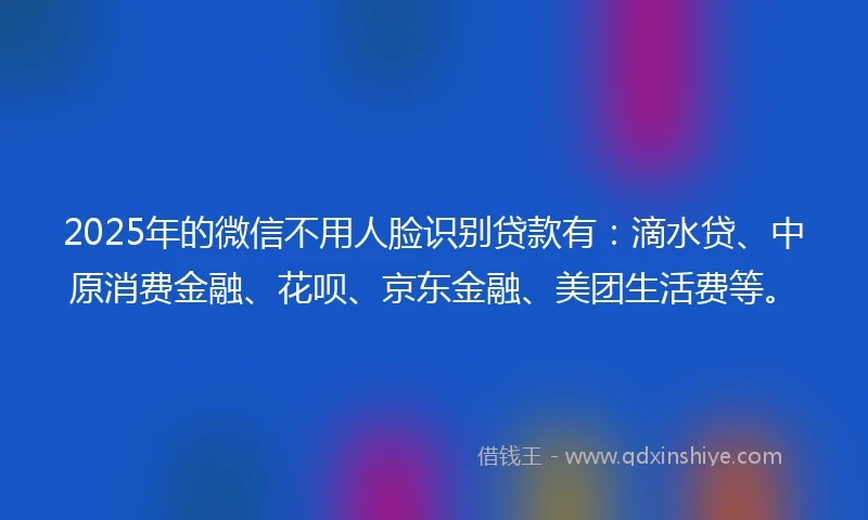 2025年的微信不用人脸识别贷款有：滴水贷、中原消费金融、花呗、京东金融、美团生活费等。