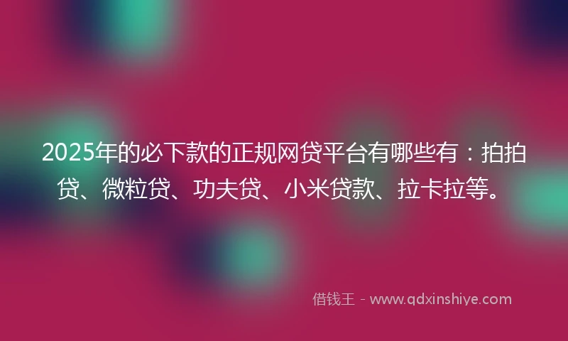 2025年的必下款的正规网贷平台有哪些有：拍拍贷、微粒贷、功夫贷、小米贷款、拉卡拉等。