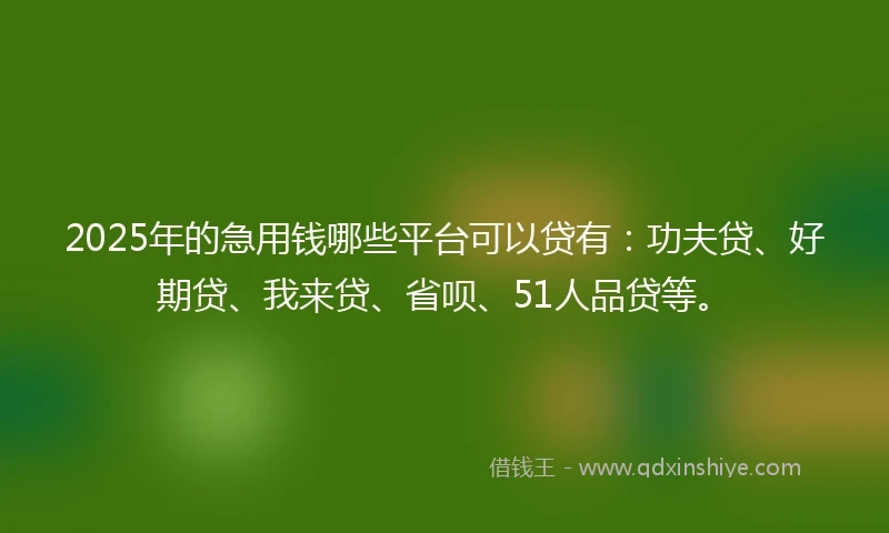 2025年的急用钱哪些平台可以贷有：功夫贷、好期贷、我来贷、省呗、51人品贷等。