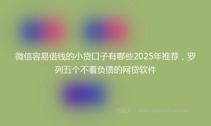 微信容易借钱的小贷口子有哪些2025年推荐，罗列五个不看负债的网贷软件