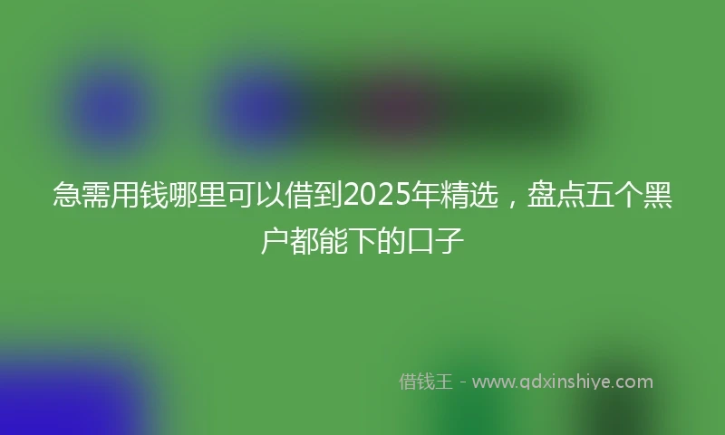 急需用钱哪里可以借到2025年精选，盘点五个黑户都能下的口子