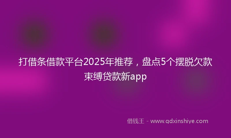 打借条借款平台2025年推荐，盘点5个摆脱欠款束缚贷款新app