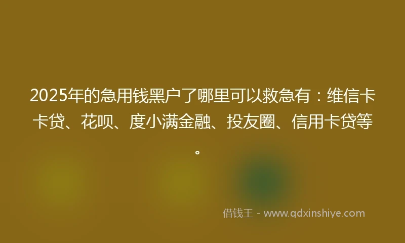 2025年的急用钱黑户了哪里可以救急有：维信卡卡贷、花呗、度小满金融、投友圈、信用卡贷等。