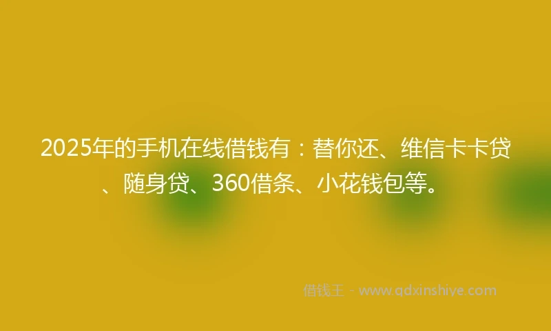 2025年的手机在线借钱有：替你还、维信卡卡贷、随身贷、360借条、小花钱包等。
