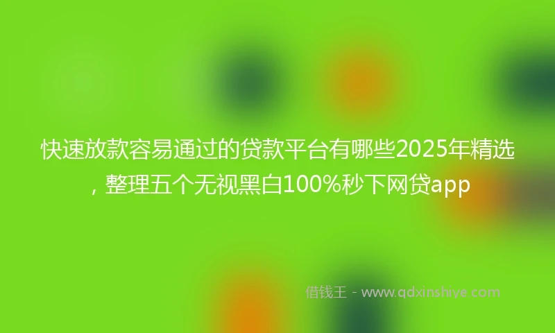 快速放款容易通过的贷款平台有哪些2025年精选，整理五个无视黑白100%秒下网贷app