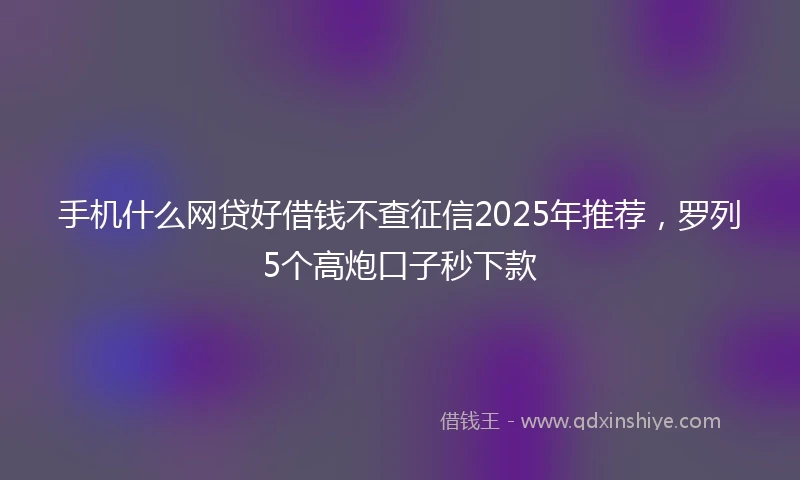 手机什么网贷好借钱不查征信2025年推荐，罗列5个高炮口子秒下款