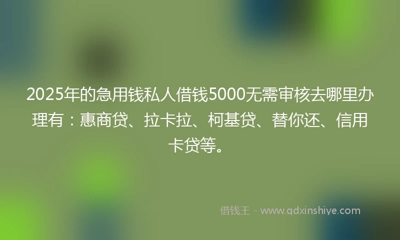 2025年的急用钱私人借钱5000无需审核去哪里办理有：惠商贷、拉卡拉、柯基贷、替你还、信用卡贷等。