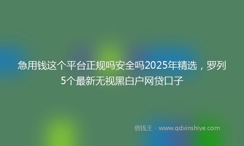 急用钱这个平台正规吗安全吗2025年精选，罗列5个最新无视黑白户网贷口子