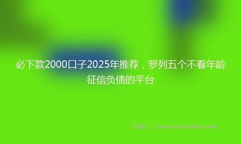 必下款2000口子2025年推荐，罗列五个不看年龄征信负债的平台