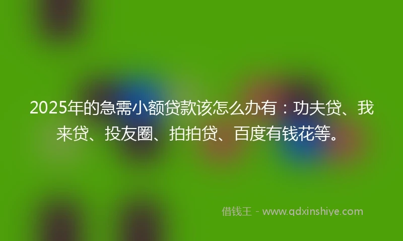 2025年的急需小额贷款该怎么办有：功夫贷、我来贷、投友圈、拍拍贷、百度有钱花等。