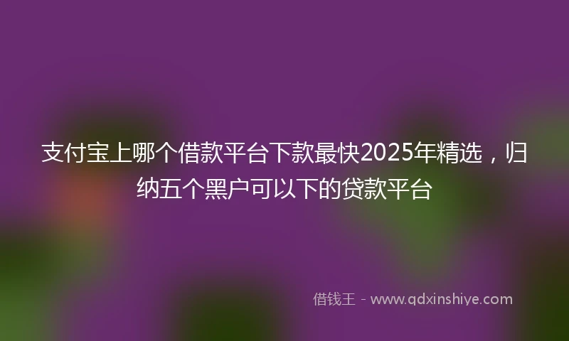 支付宝上哪个借款平台下款最快2025年精选，归纳五个黑户可以下的贷款平台