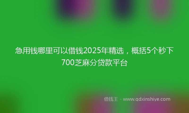 急用钱哪里可以借钱2025年精选，概括5个秒下700芝麻分贷款平台