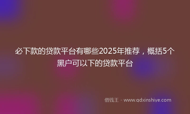 必下款的贷款平台有哪些2025年推荐，概括5个黑户可以下的贷款平台