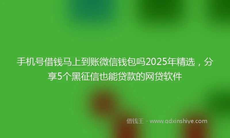 手机号借钱马上到账微信钱包吗2025年精选，分享5个黑征信也能贷款的网贷软件