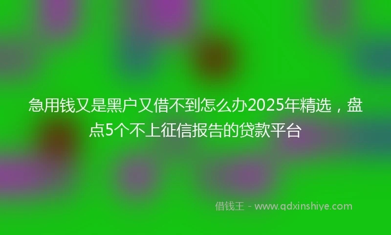 急用钱又是黑户又借不到怎么办2025年精选，盘点5个不上征信报告的贷款平台