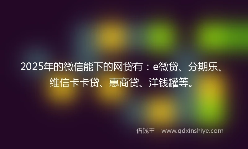 2025年的微信能下的网贷有：e微贷、分期乐、维信卡卡贷、惠商贷、洋钱罐等。
