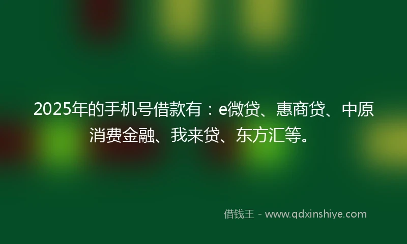2025年的手机号借款有：e微贷、惠商贷、中原消费金融、我来贷、东方汇等。