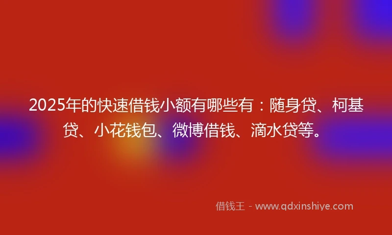 2025年的快速借钱小额有哪些有：随身贷、柯基贷、小花钱包、微博借钱、滴水贷等。
