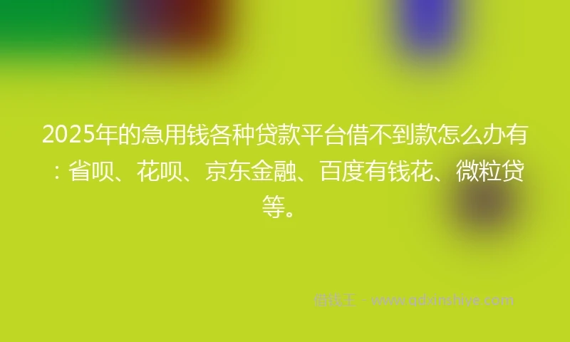 2025年的急用钱各种贷款平台借不到款怎么办有：省呗、花呗、京东金融、百度有钱花、微粒贷等。