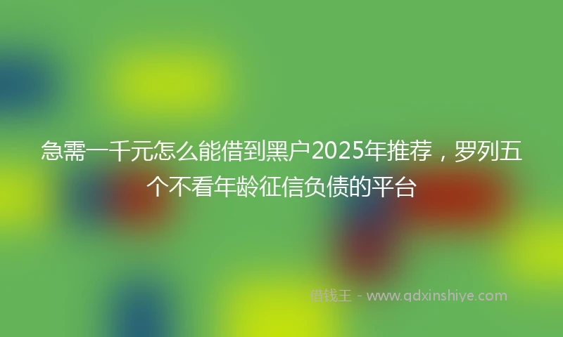 急需一千元怎么能借到黑户2025年推荐，罗列五个不看年龄征信负债的平台
