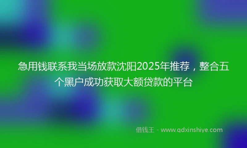 急用钱联系我当场放款沈阳2025年推荐，整合五个黑户成功获取大额贷款的平台