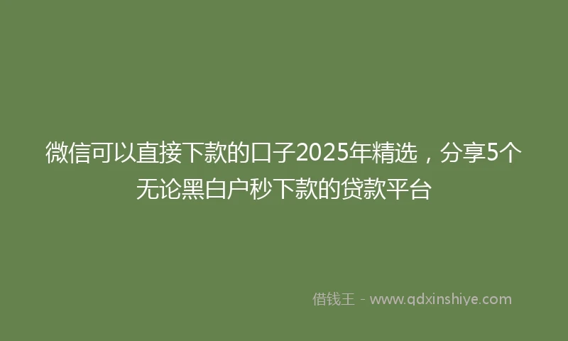 微信可以直接下款的口子2025年精选,分享5个无论黑白户秒下款的贷款平台