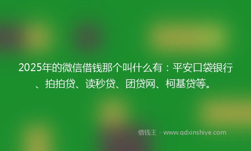 2025年的微信借钱那个叫什么有：平安口袋银行、拍拍贷、读秒贷、团贷网、柯基贷等。