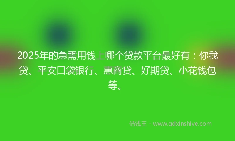 2025年的急需用钱上哪个贷款平台最好有:你我贷、平安口袋银行、惠商贷、好期贷、小花钱包等。