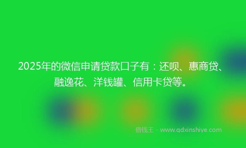 2025年的微信申请贷款口子有：还呗、惠商贷、融逸花、洋钱罐、信用卡贷等。