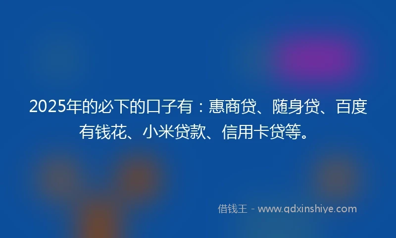 2025年的必下的口子有：惠商贷、随身贷、百度有钱花、小米贷款、信用卡贷等。