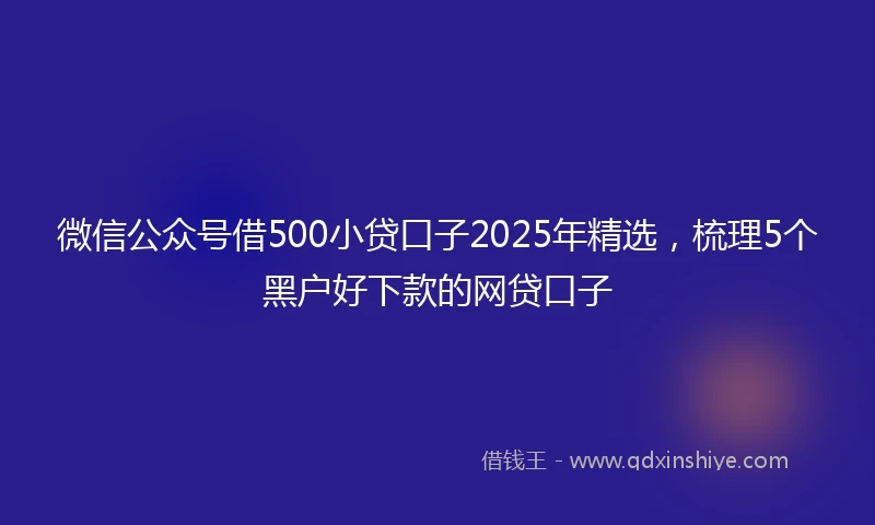 微信公众号借500小贷口子2025年精选,梳理5个黑户好下款的网贷口子
