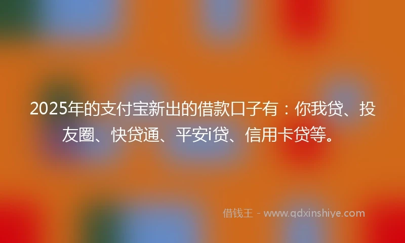 2025年的支付宝新出的借款口子有：你我贷、投友圈、快贷通、平安i贷、信用卡贷等。