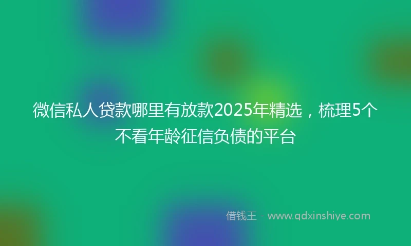 微信私人贷款哪里有放款2025年精选，梳理5个不看年龄征信负债的平台
