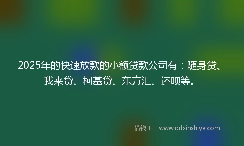 2025年的快速放款的小额贷款公司有：随身贷、我来贷、柯基贷、东方汇、还呗等。