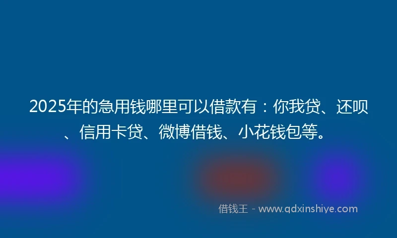 2025年的急用钱哪里可以借款有：你我贷、还呗、信用卡贷、微博借钱、小花钱包等。