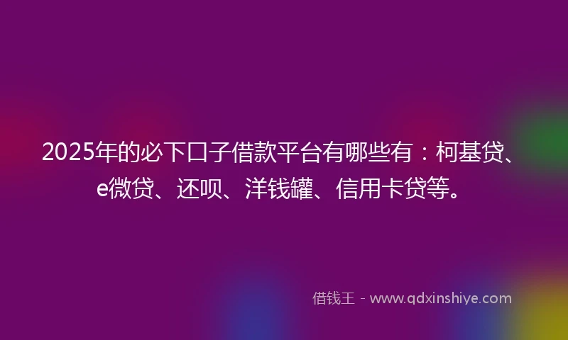 2025年的必下口子借款平台有哪些有：柯基贷、e微贷、还呗、洋钱罐、信用卡贷等。
