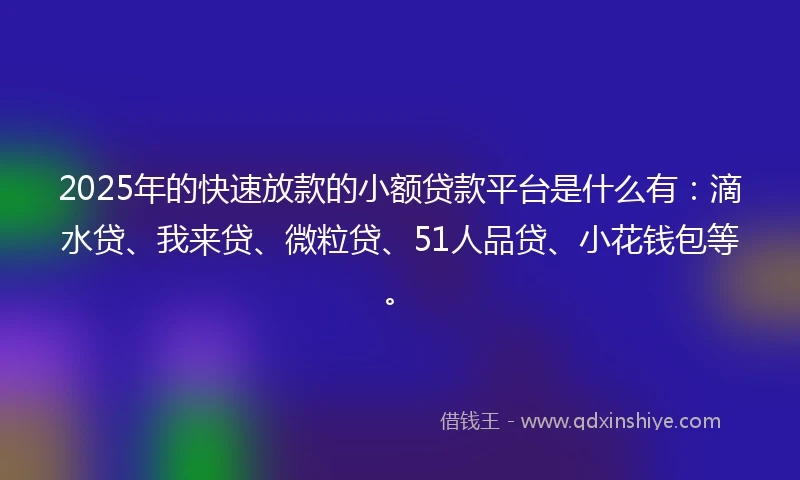 2025年的快速放款的小额贷款平台是什么有：滴水贷、我来贷、微粒贷、51人品贷、小花钱包等。