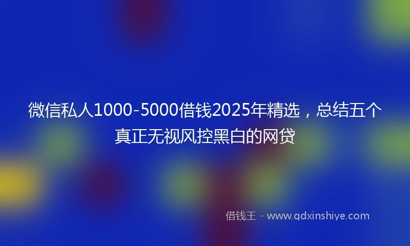 微信私人1000-5000借钱2025年精选，总结五个真正无视风控黑白的网贷